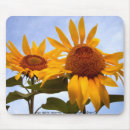 Search for sun flower mouse mats Nature