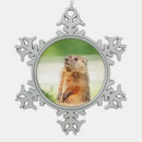 Search for woodchuck christmas tree decorations Wildlife