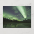 Search for arctic tundra postcards Cold