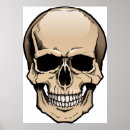 Search for human skull posters Bones