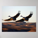 Search for bosque del apache art Birds