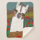 Search for funny puns blankets Alpaca