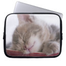 Search for kitten sleeping electronics Close up