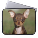 Search for 15 6 laptop cases Canine photographer