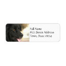 Search for newfoundland return address labels Puppy