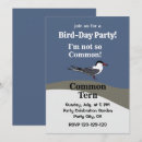 Search for terns Animal