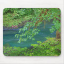 Search for washington park mouse mats Don paulson