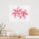 Search for stargazer lily posters White
