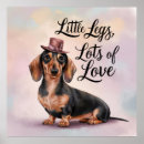 Search for little lady posters Dachshund bumper stikers