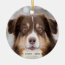 Search for australian shepherd christmas tree decorations Cute