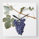 Search for grapevine clocks Purple