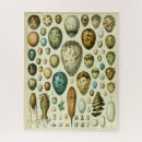Search for natural history puzzles Science