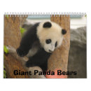 Search for panda bear calendars Wild animals