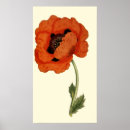 Search for note card posters Red