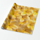 Search for hawaii wrapping paper Plumeria flowers