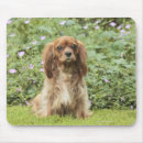 Search for ruby mouse mats Flower