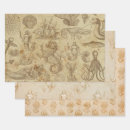 Search for sea creatures wrapping paper Vintage