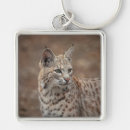 Search for bobcat key rings Big cat