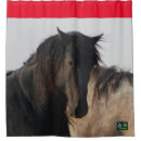Search for magee Wild horses of utah
