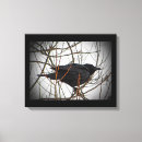 Search for corvus posters Wildlife