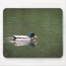 Search for duck mouse mats nature