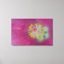 Search for stamen canvas prints Red