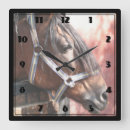 Search for stables clocks Horse