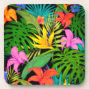 Search for monstera coasters Palm