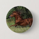 Search for stallion badges Equestrian