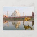 Search for bill postcards Colour