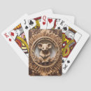 Search for koala bear playing cards Wildlife