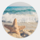 Search for beach business stickers Starfish