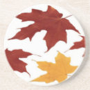 Search for birch tree coasters Fall