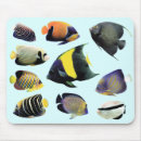 Search for marines mouse mats Tropical