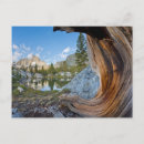 Search for garnet postcards Inyo national forest