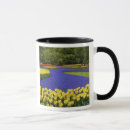 Search for lisse mugs Dutch