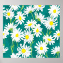 Search for daisy flower pattern posters Nature