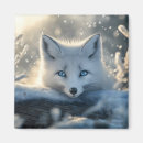 Search for eyes magnets White
