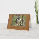 Search for hawk birthday cards Raptor