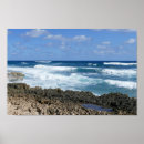 Search for abaco Beach
