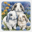 Search for little rabbit stickers Cute
