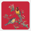 Search for two birds stickers Animals