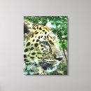 Search for animal leopard print canvas prints Leopards