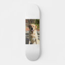 Search for funny skateboards dog