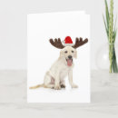 Search for cutout christmas cards Antlers