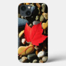 Search for maple leaf ipad cases Danita delimont
