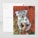 Search for snacking postcards Cute