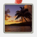 Search for paradise christmas tree decorations Shore