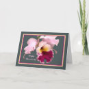 Search for phalaenopsis cards Orchid