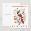 Search for cardinal bird postcards Illustration